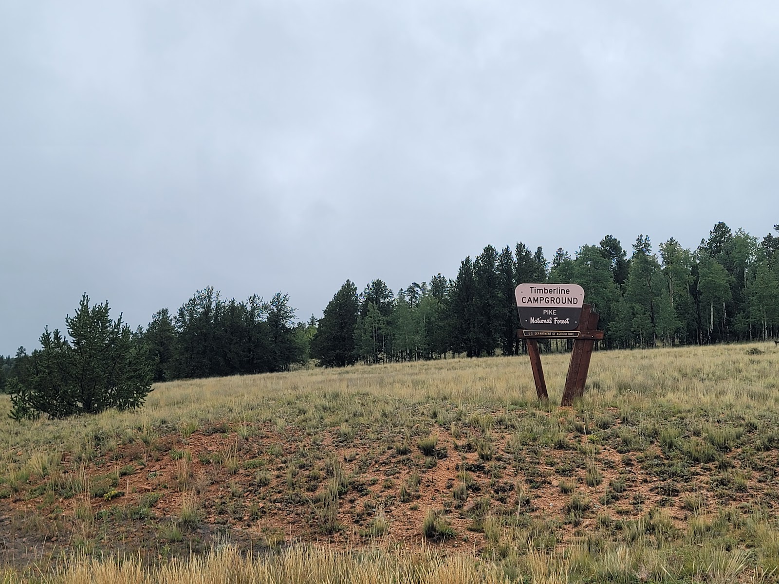 Timberline Campground