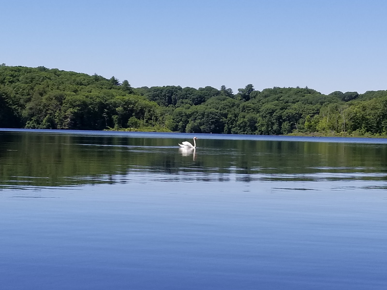 Barton Cove Campground and Canoe Rental