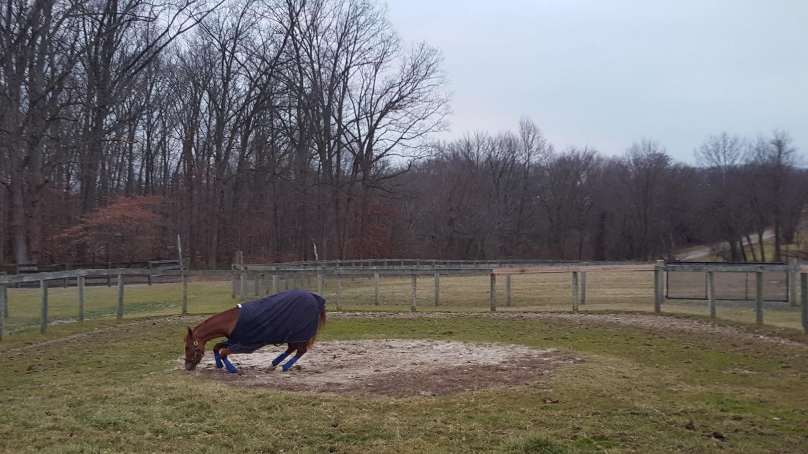 Fair Hill NRMA Park Office