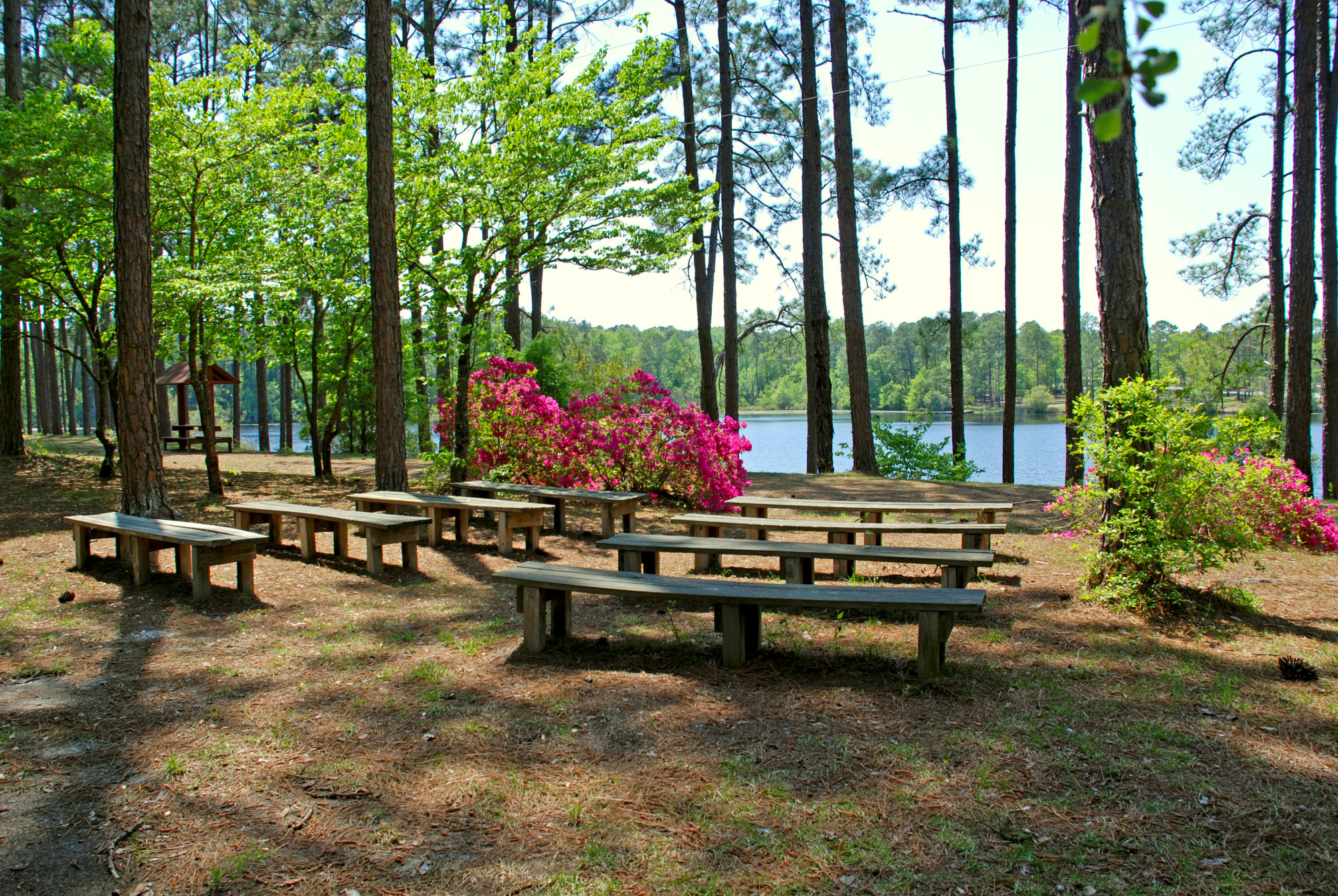 Jack Hill State Park