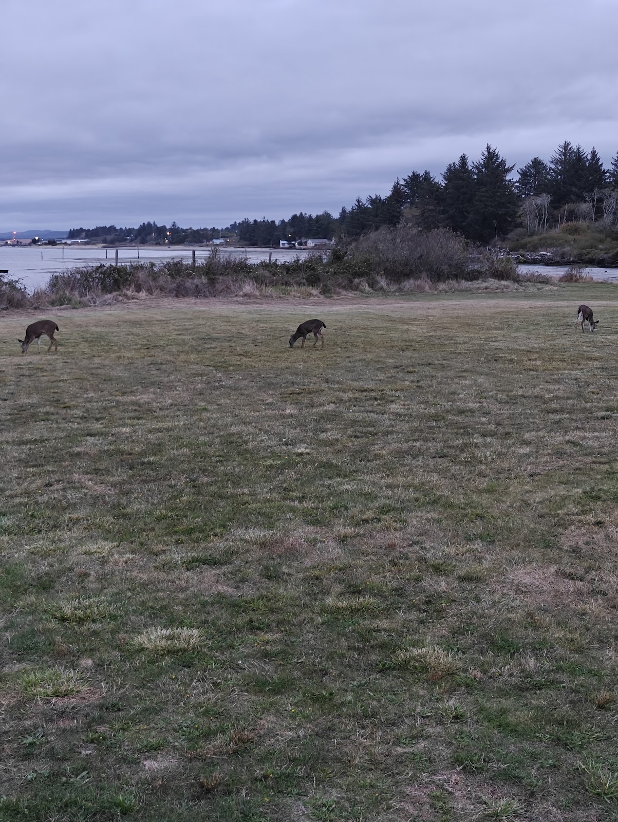 Midway RV Park & Resort