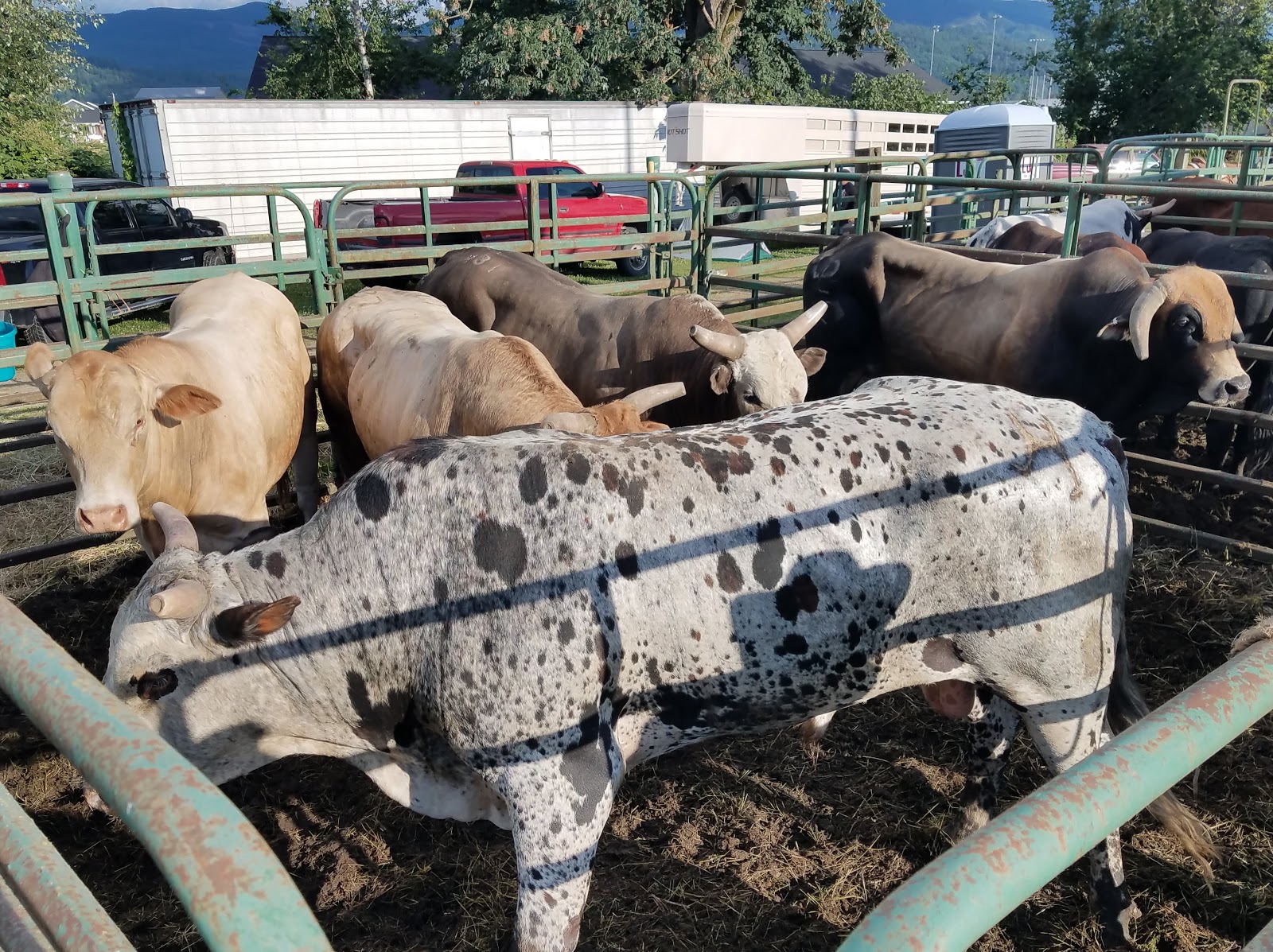 Sumas RV Park & Campground