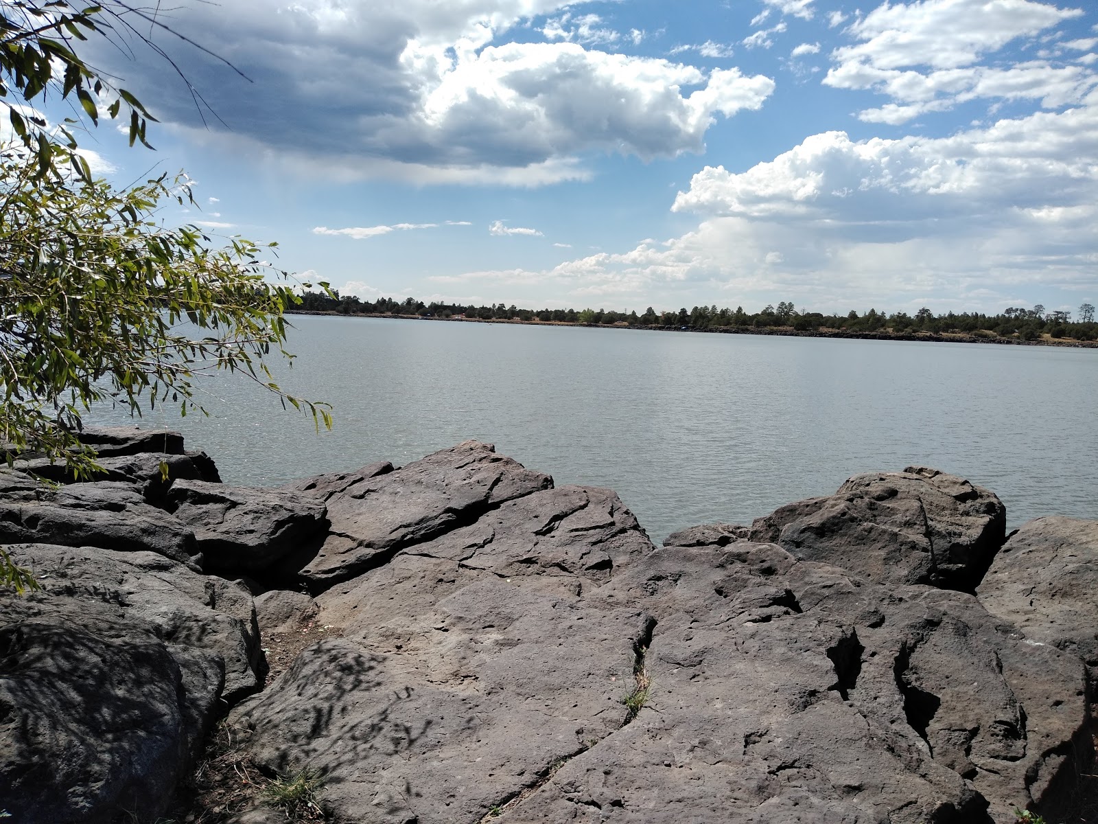 Forked Pine Campground