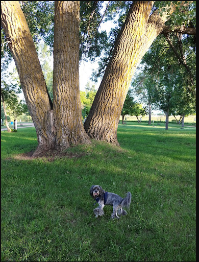 Wyatts Hideaway Campground