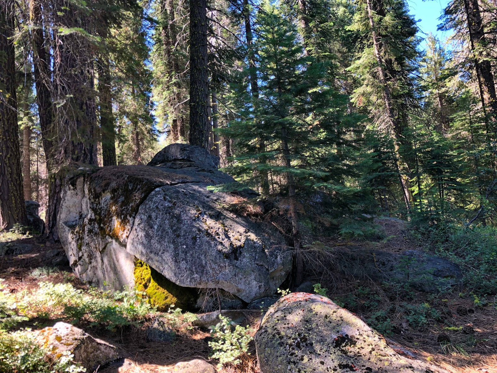 Silver Creek Group Campground