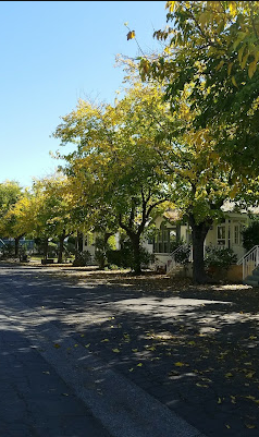 Arden Acres Cottages