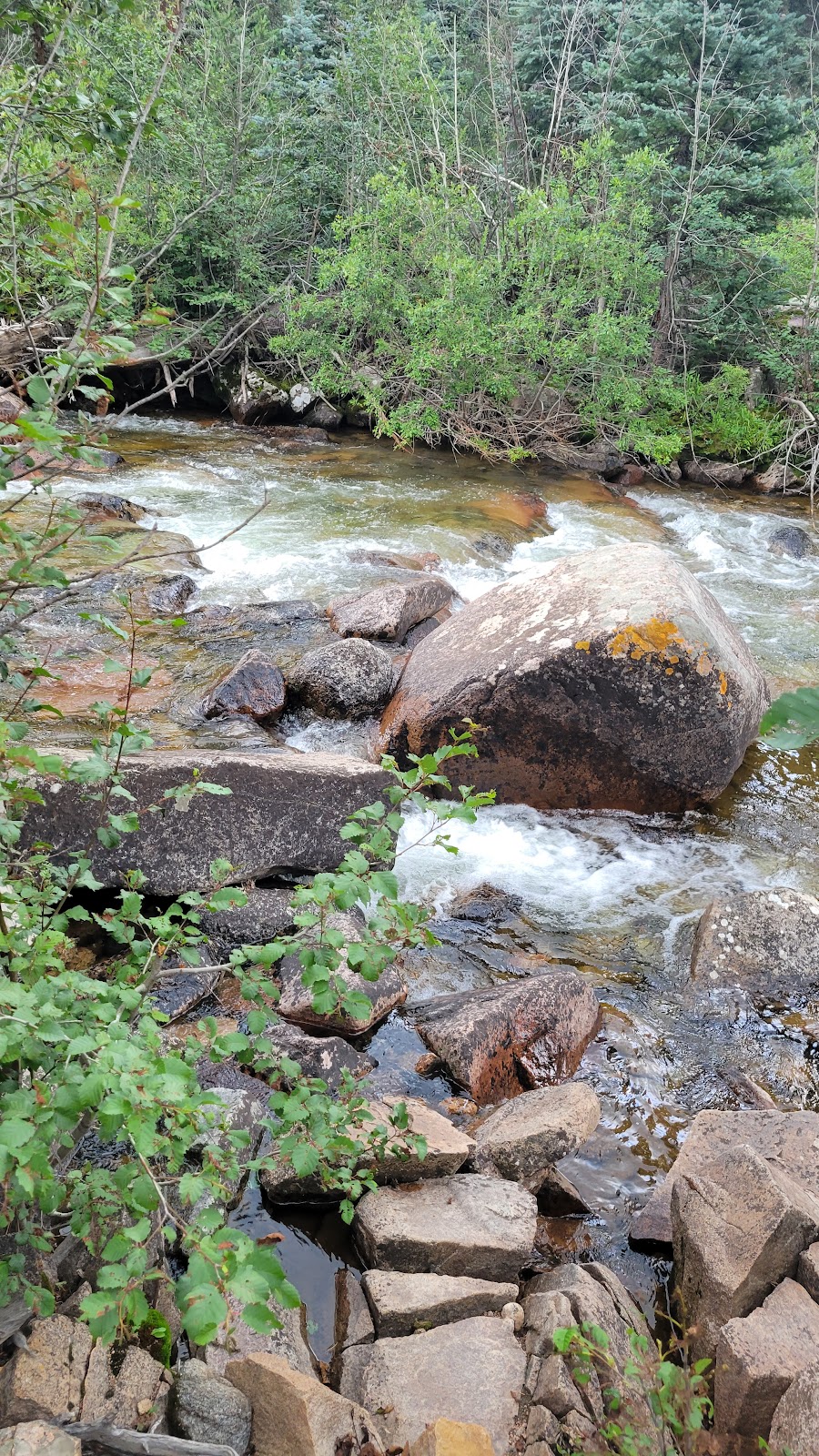 Transfer Park Campground