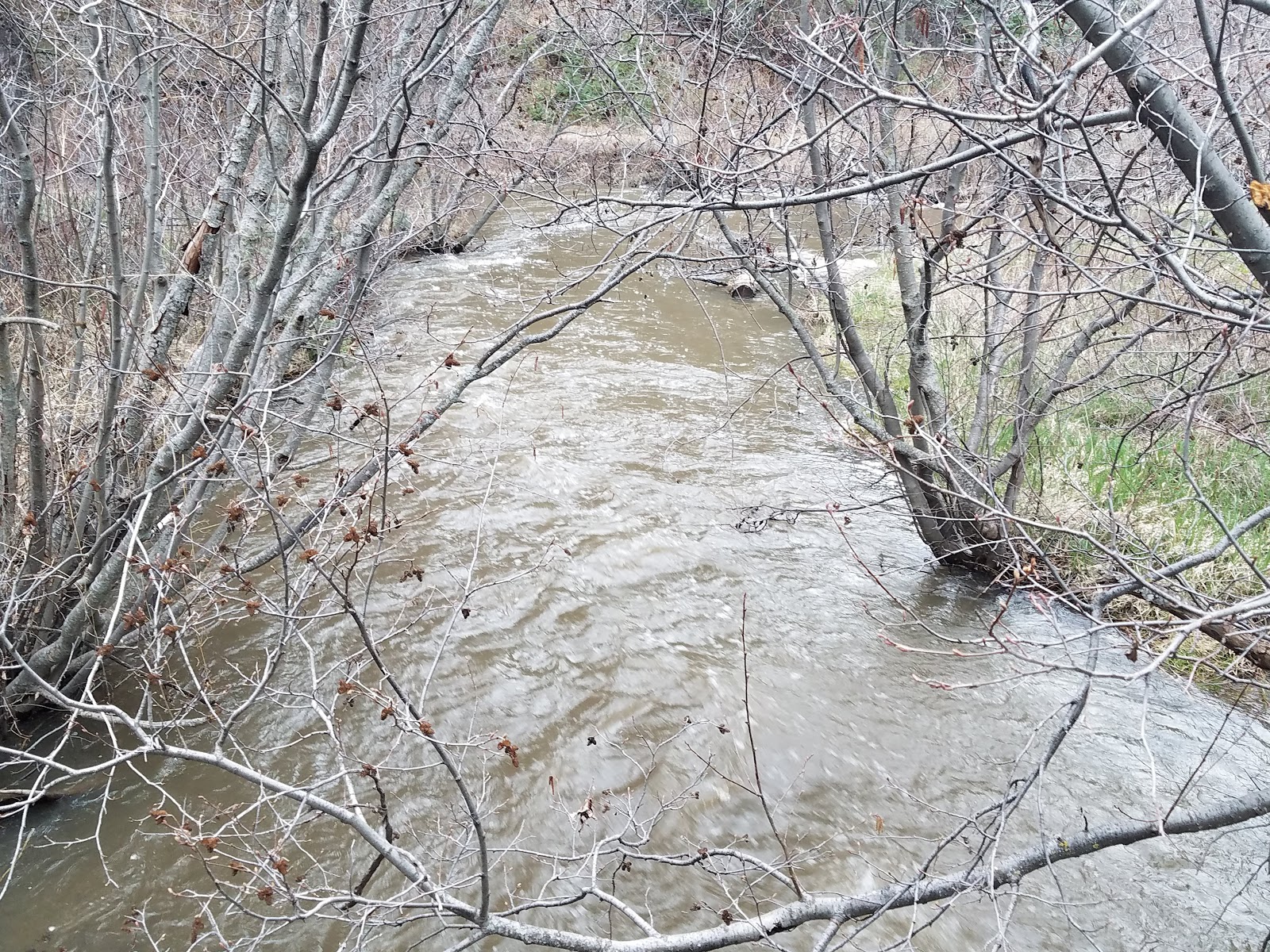 La Sombra Campground