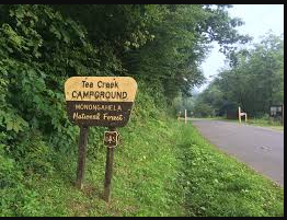 Tea Creek Campground