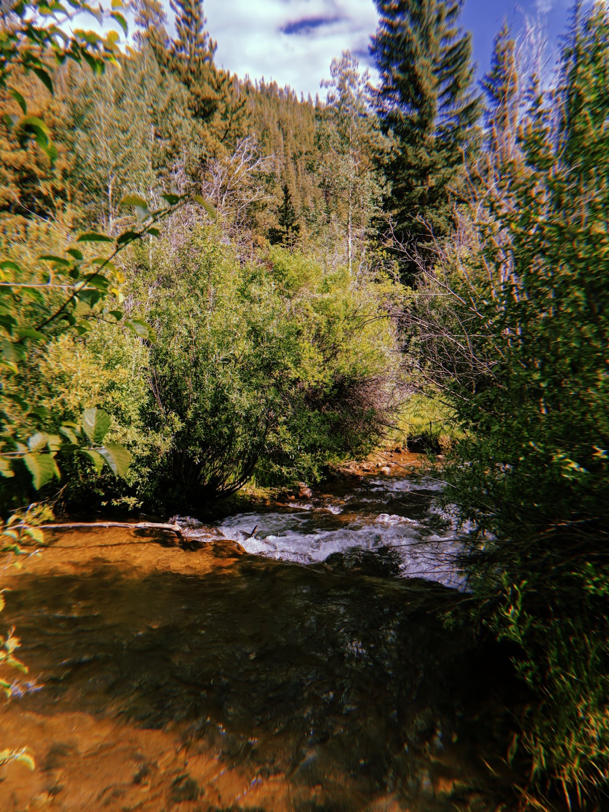 Snowblind Campground