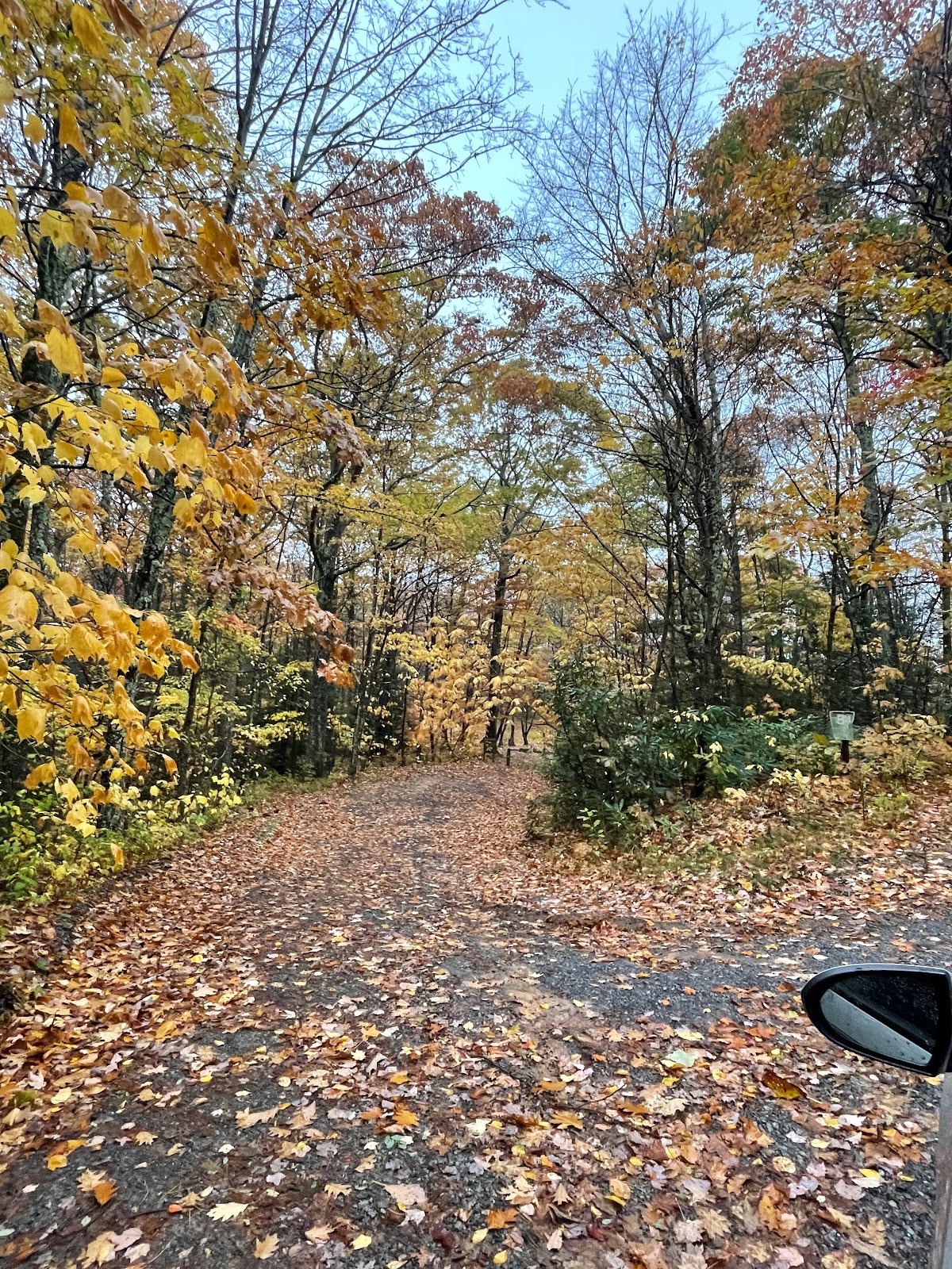 Jefferson/Hurricane Campground