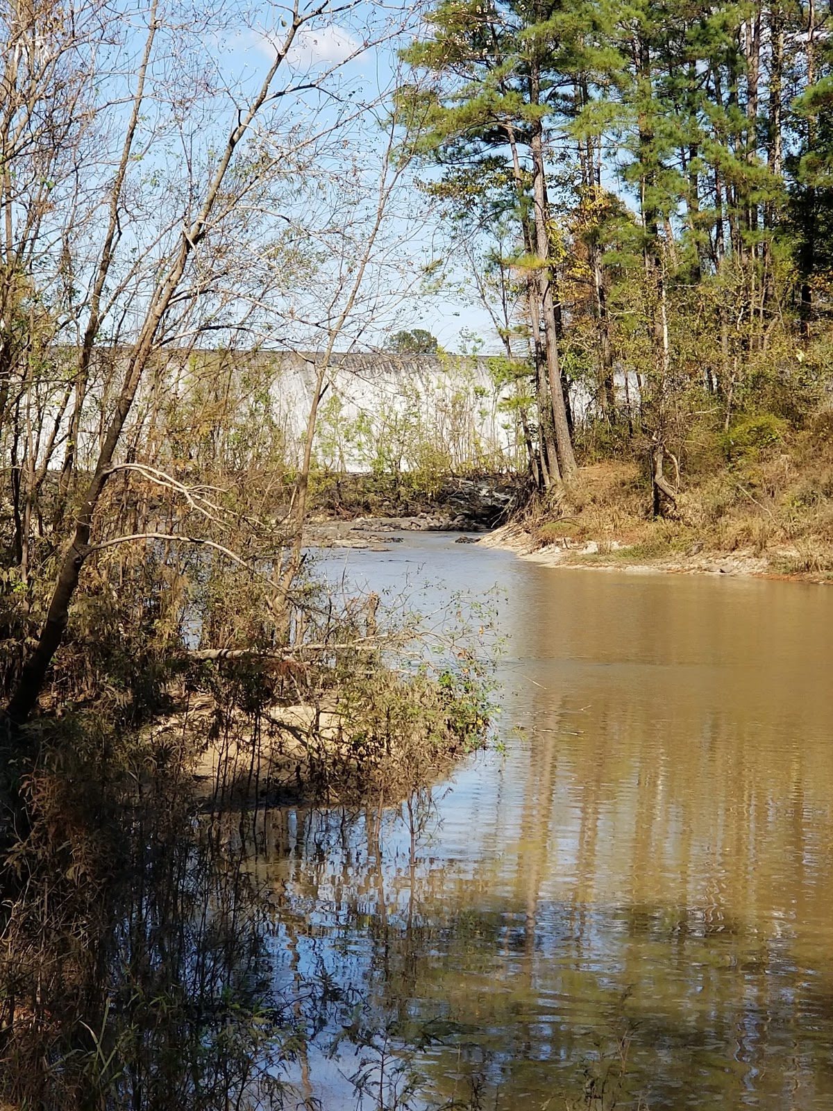 At "The Dam" on Anacoco Lake