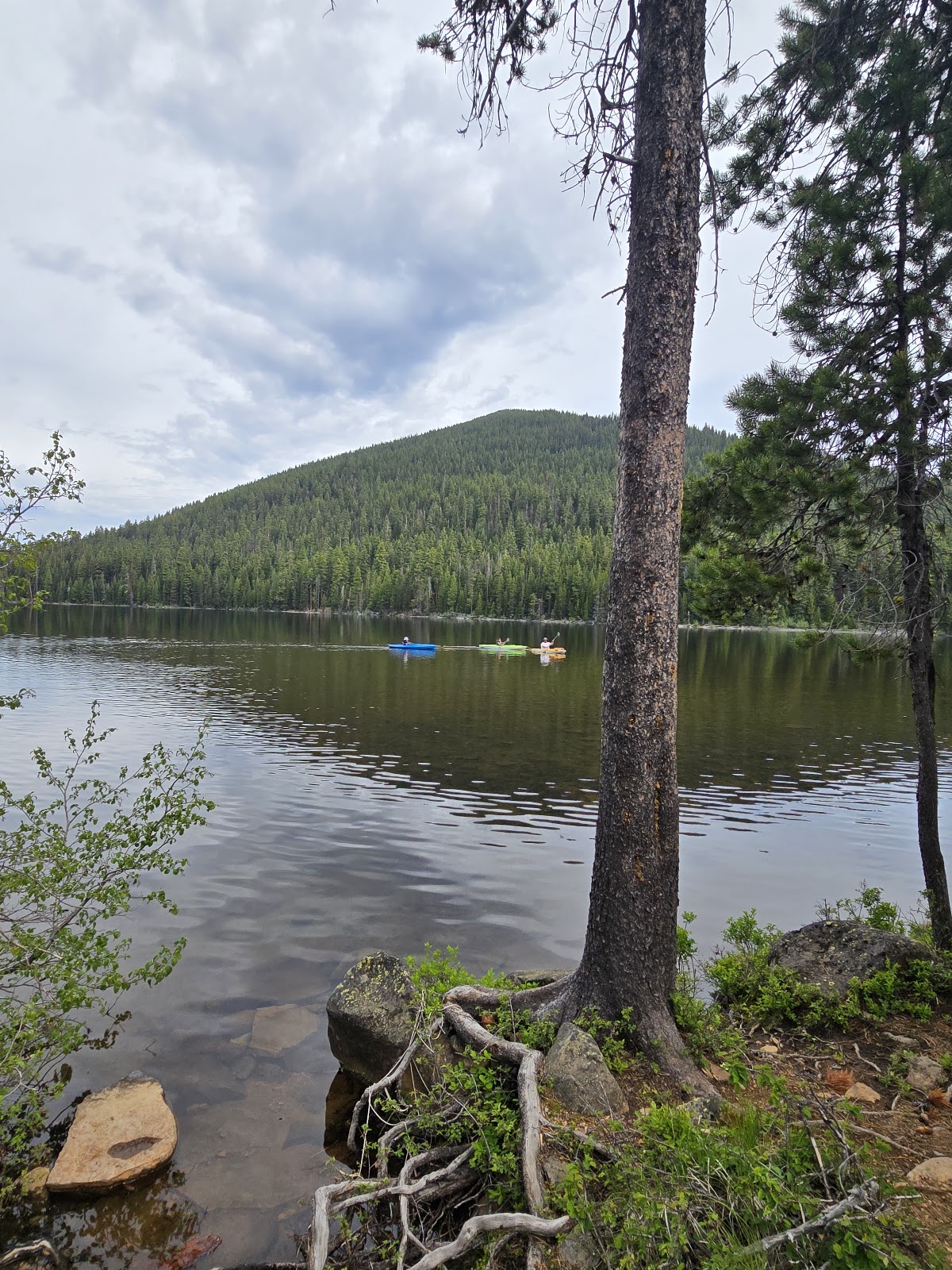 Little Cultus Campground