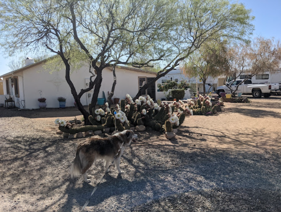 Escapees North Ranch