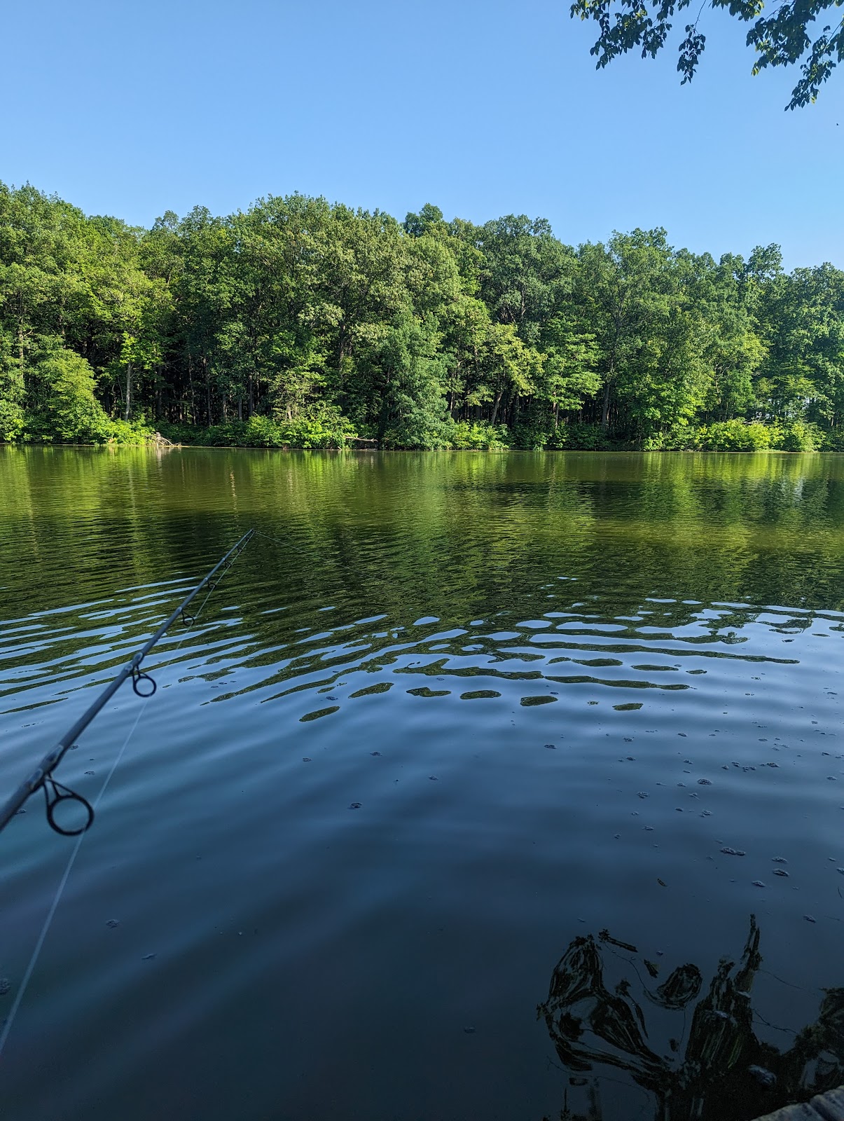 Walnut Point State Park