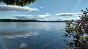 Musky Lake - Northern Highland-American Legion SF