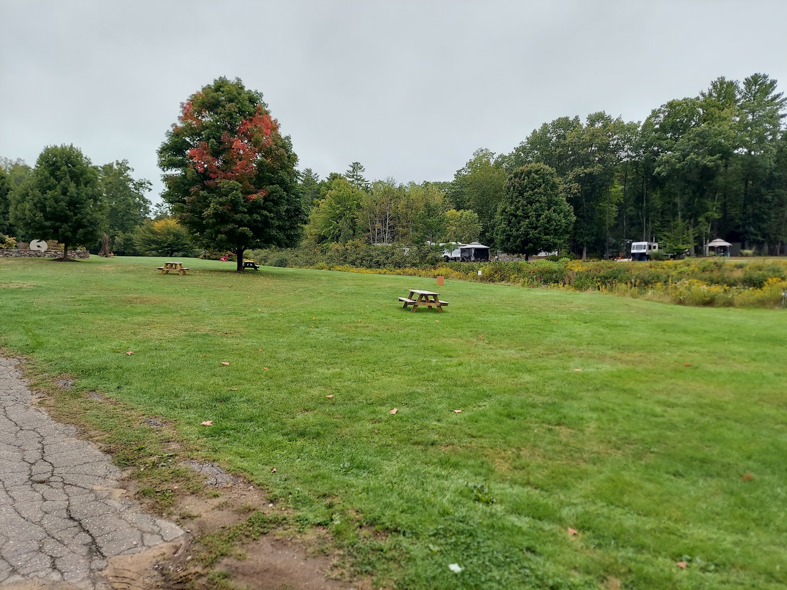 Pinederosa Camping Area