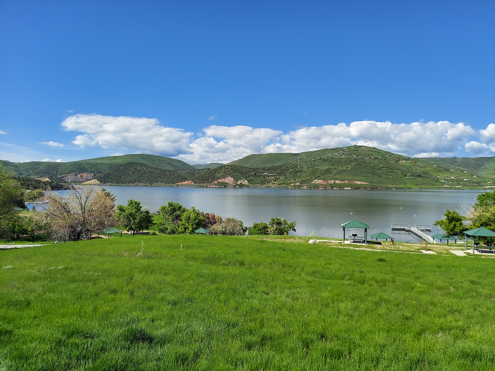 Juniper - Rockport State Park