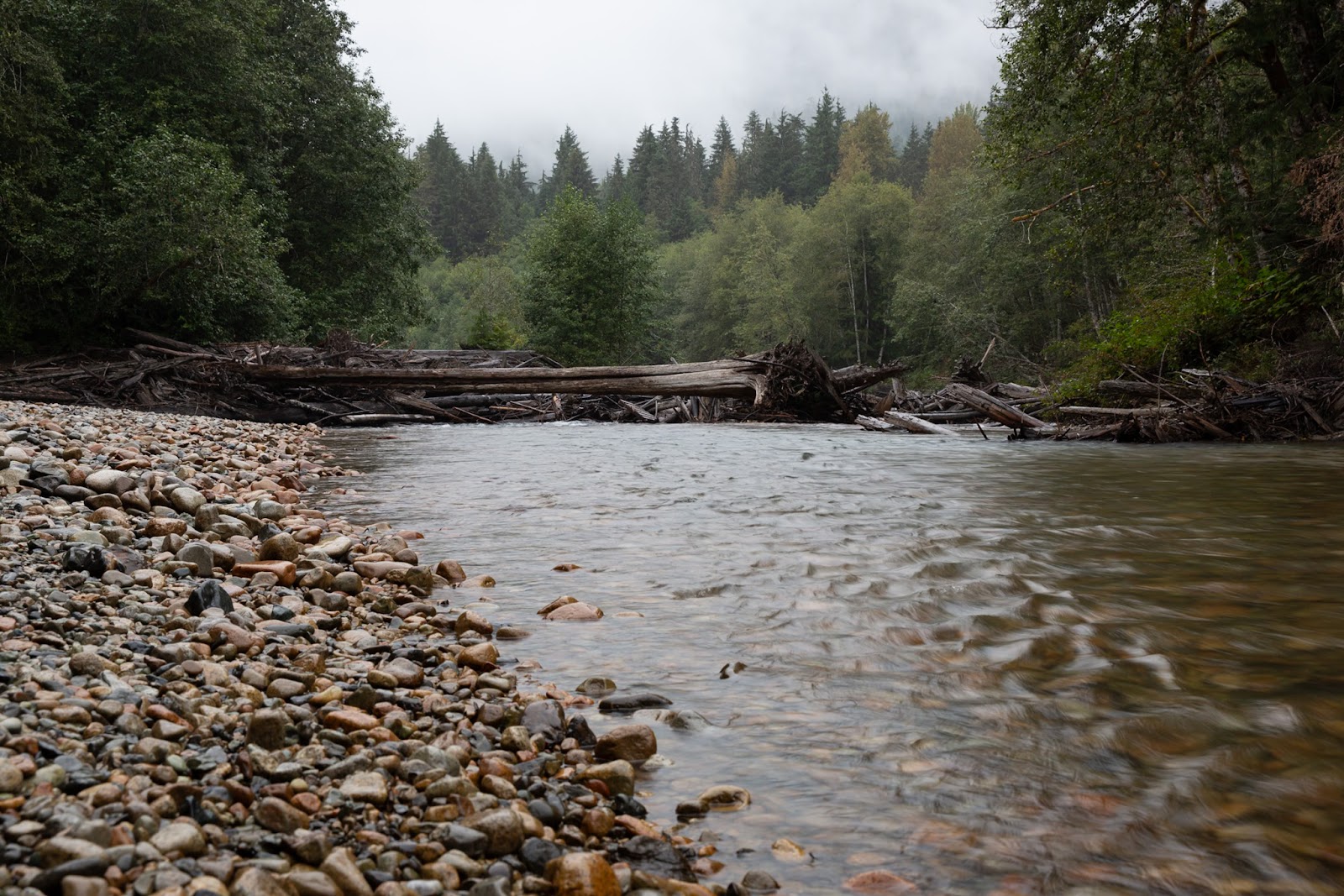 Silver Fir Campground