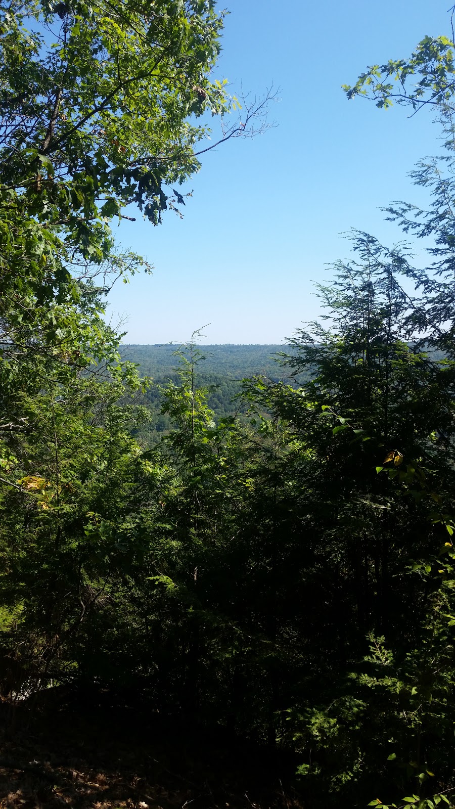 Hidden Hills Escape Family Campground