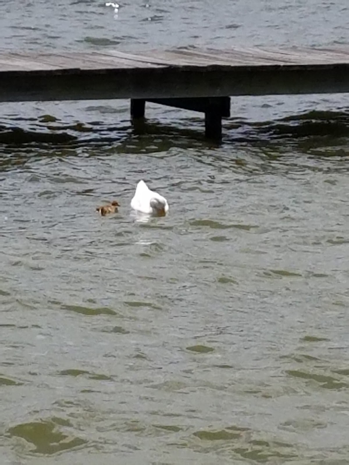 White Lake Golf Course RV Park