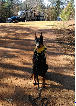 Antique Village RV Park