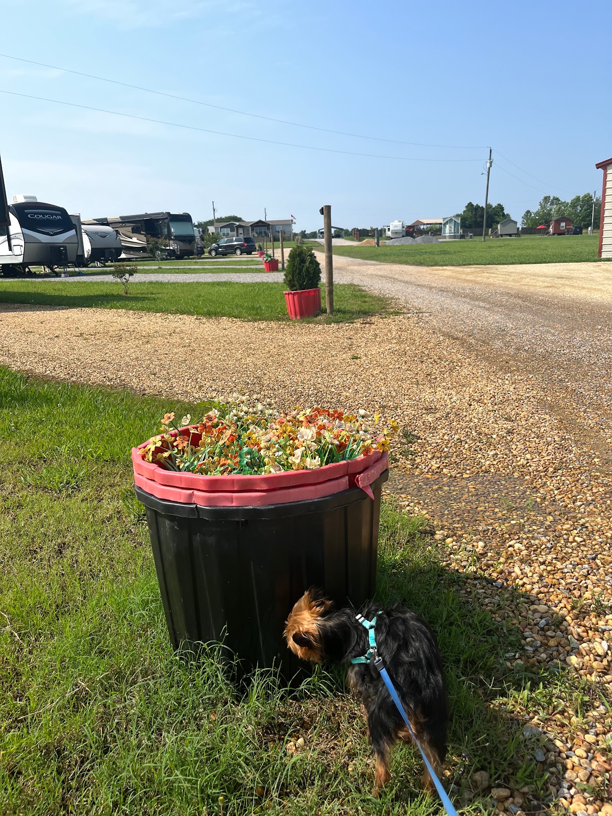 Montgomery South RV Park