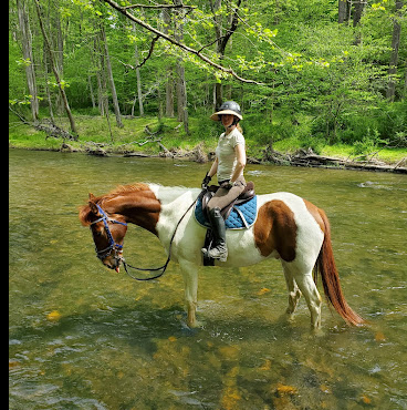 Patapsco Valley State Park- McKeldin Area