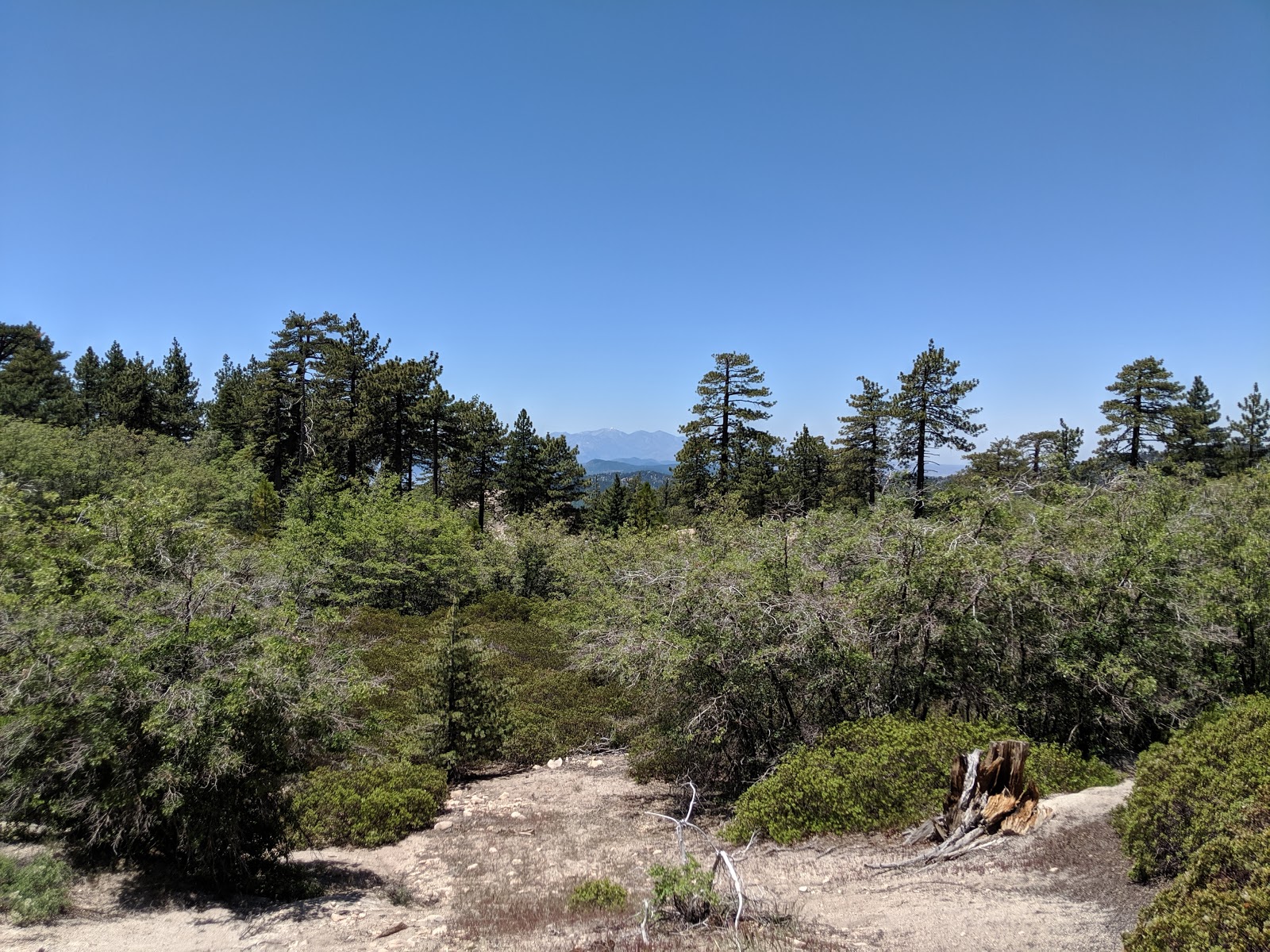 Shady Cove Group Campground