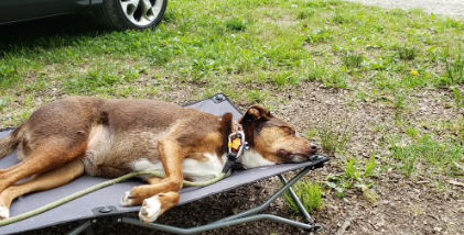 Big Sycamore Family Campground