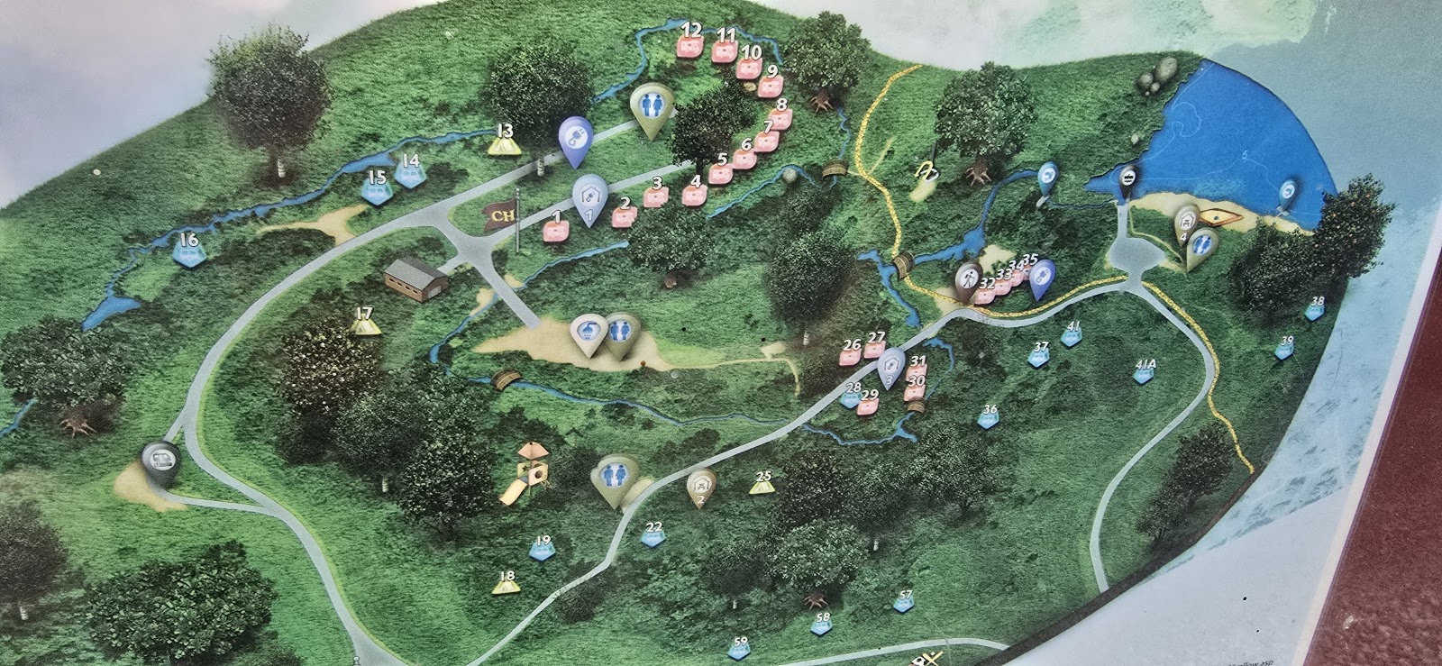 Clausen Springs Recreation