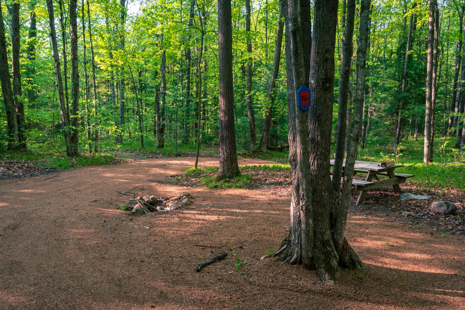 River Forest Wolf River Camping