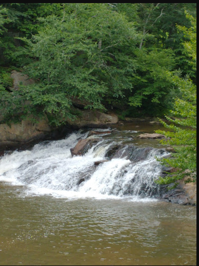 Chestnut Creek Cabins