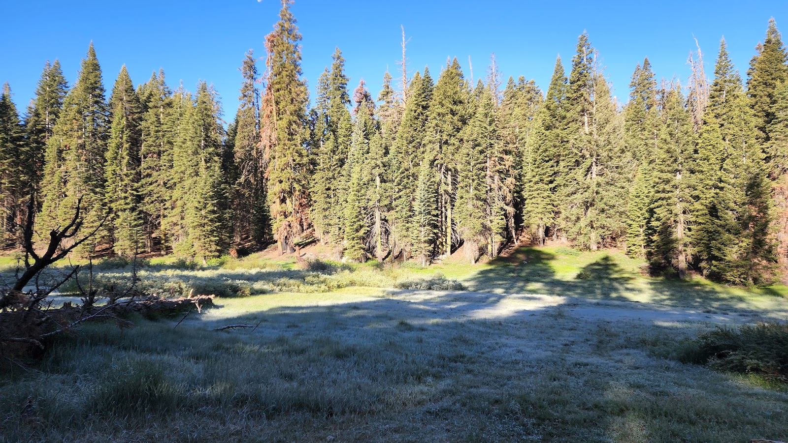 Quaking Aspen Campground