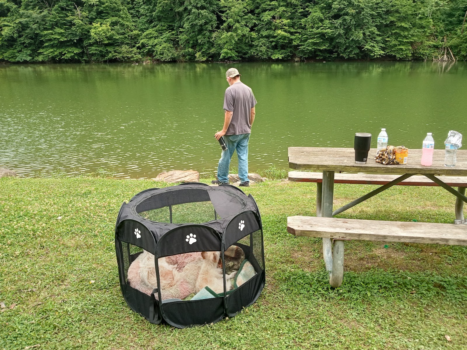 Grapevine Campground