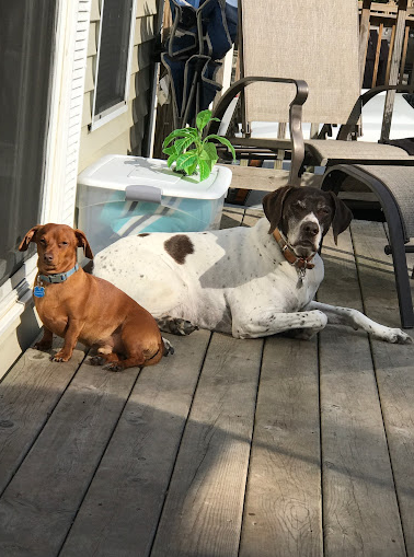 Lake LaDonna Family Campground