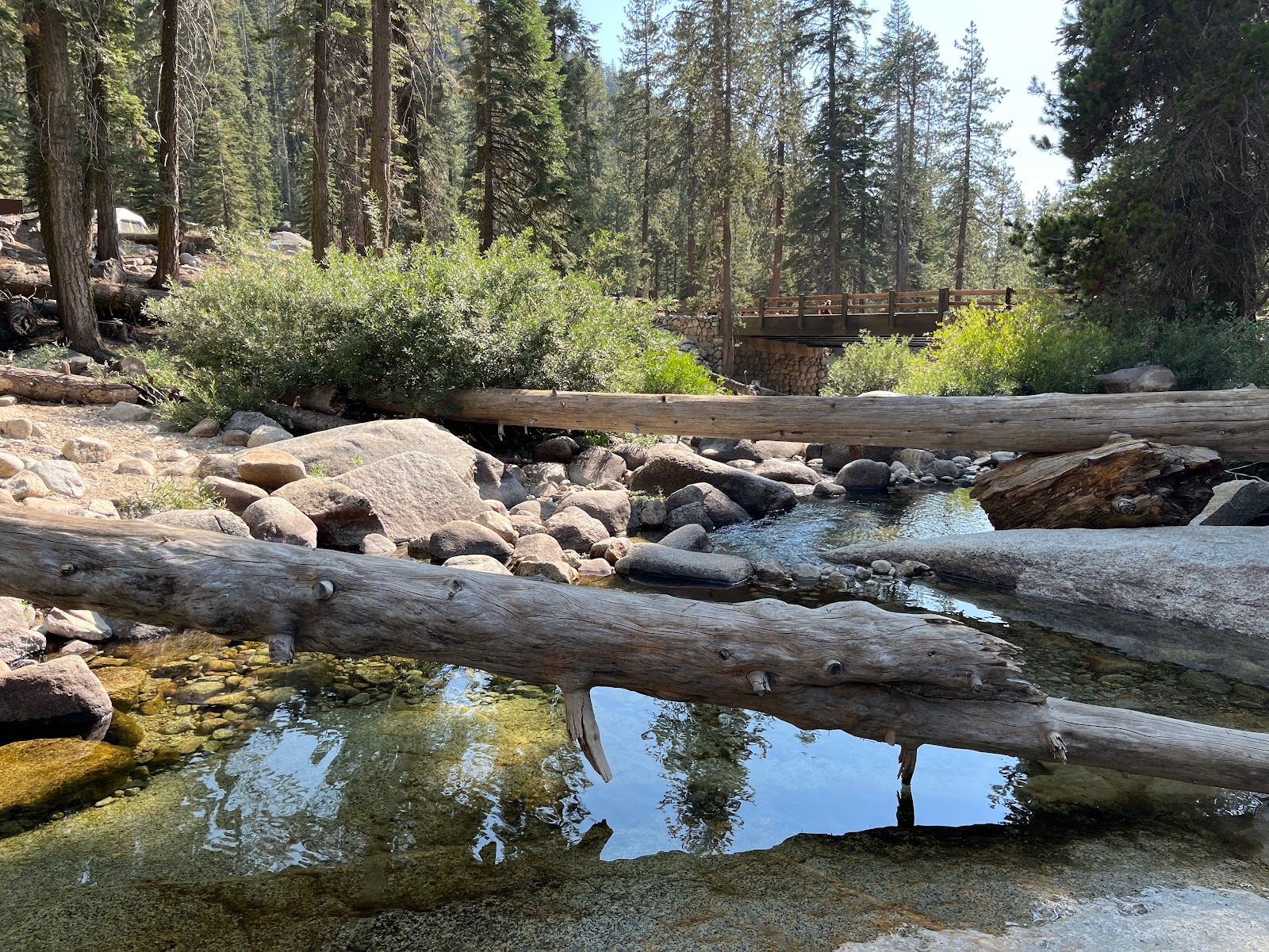 Lodgepole Campground - Sequoia National Park