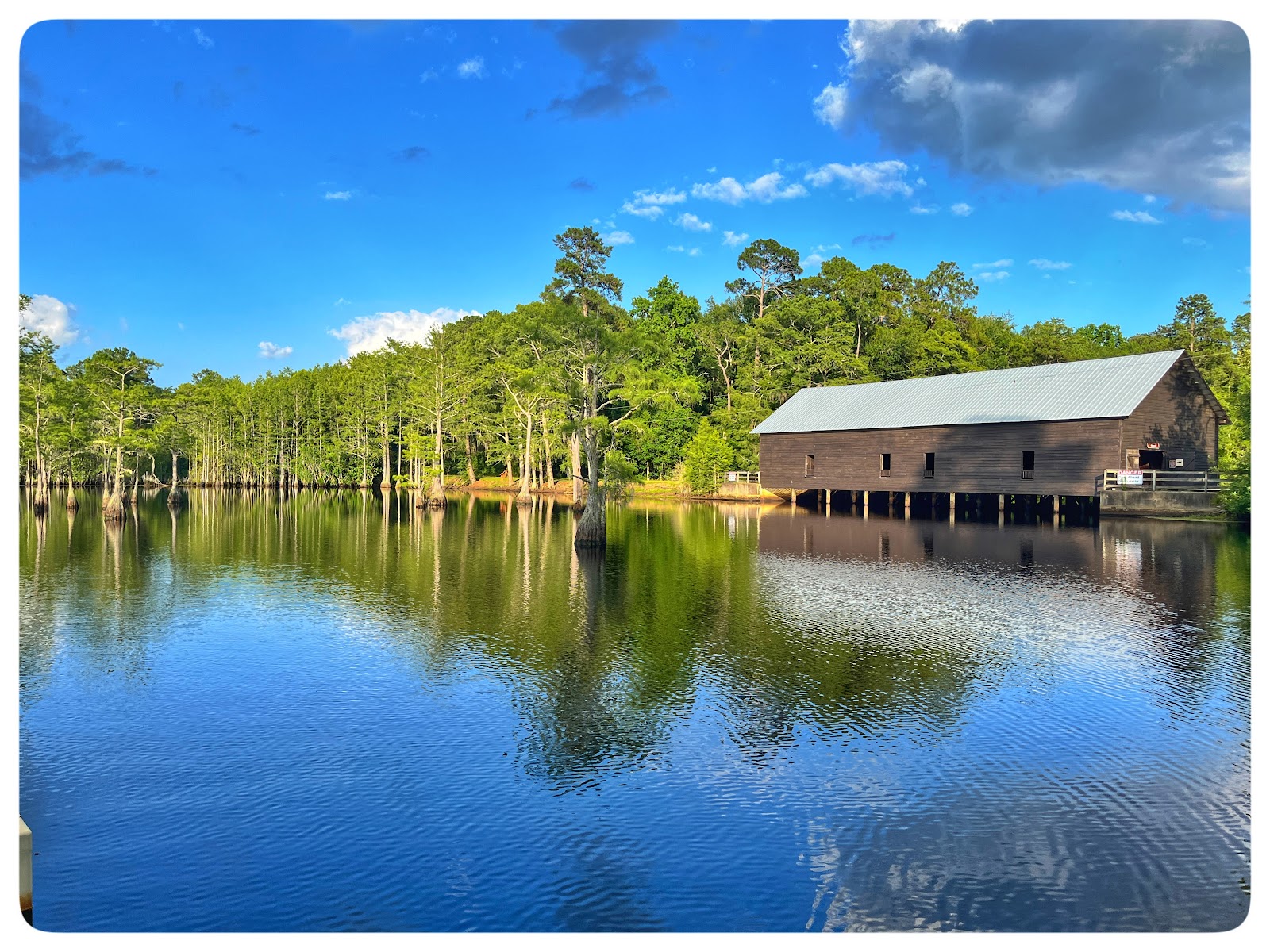 George L Smith State Park