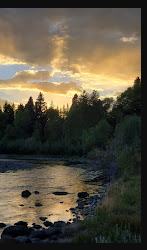 Conejos River Campground