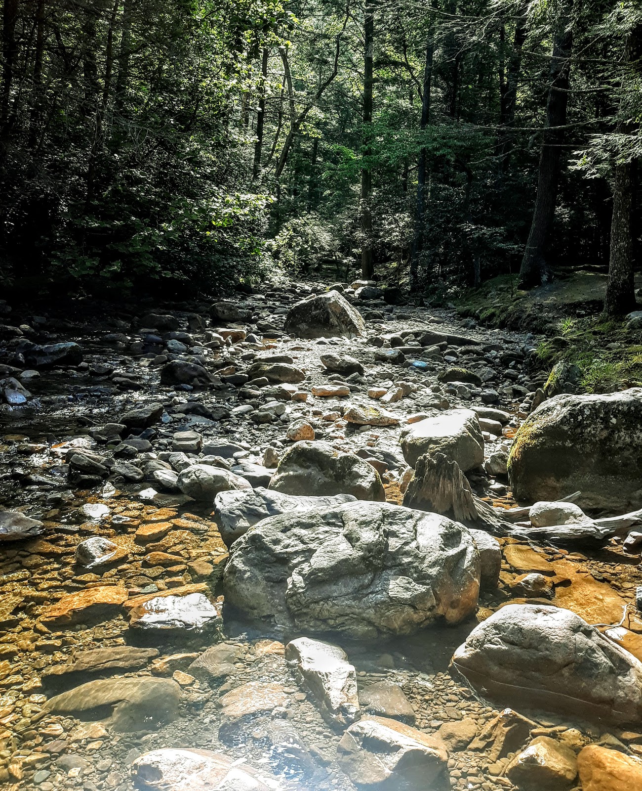 Horse Creek Recreation Area