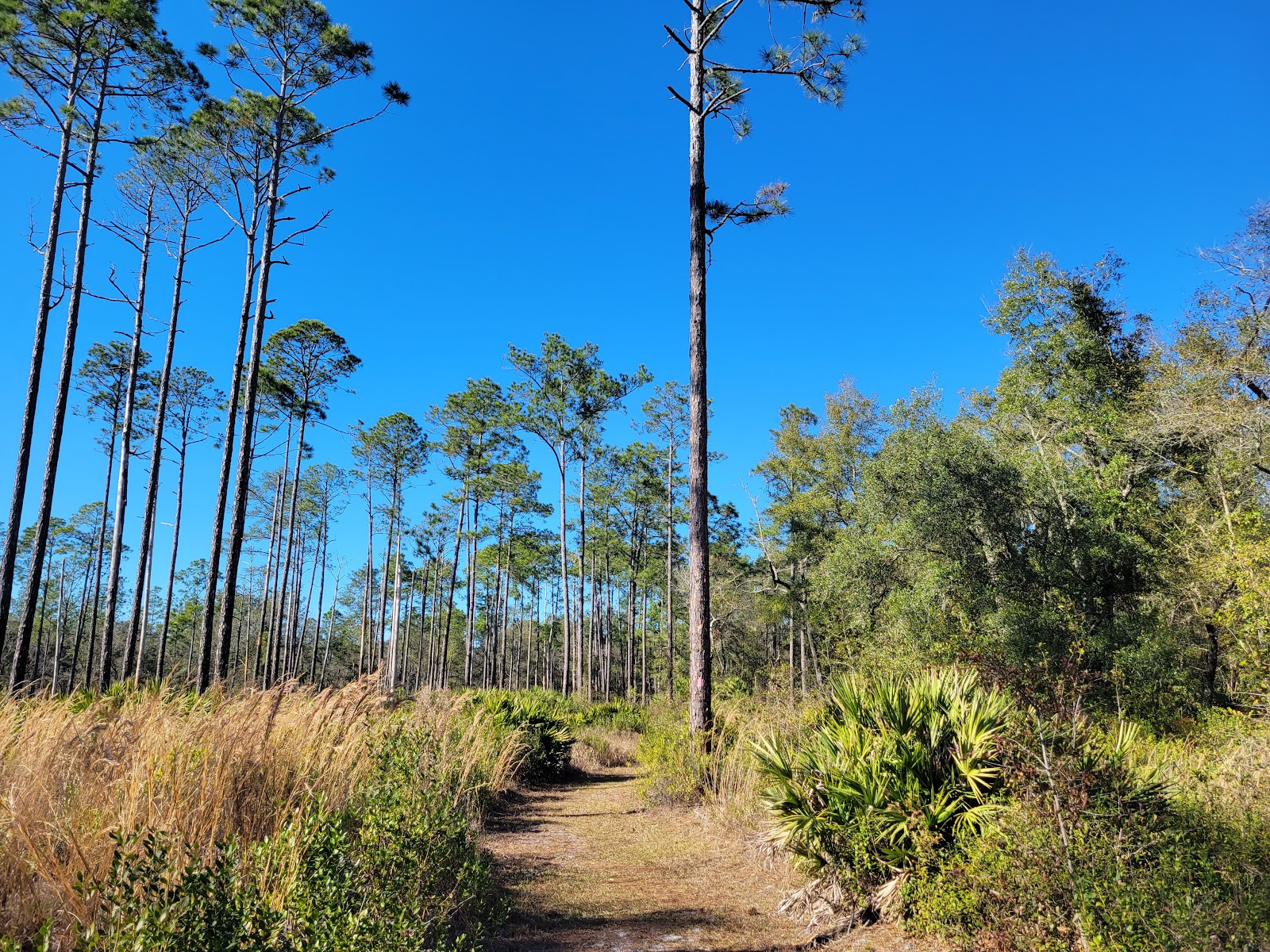 Jennings State Forest - Main Office
