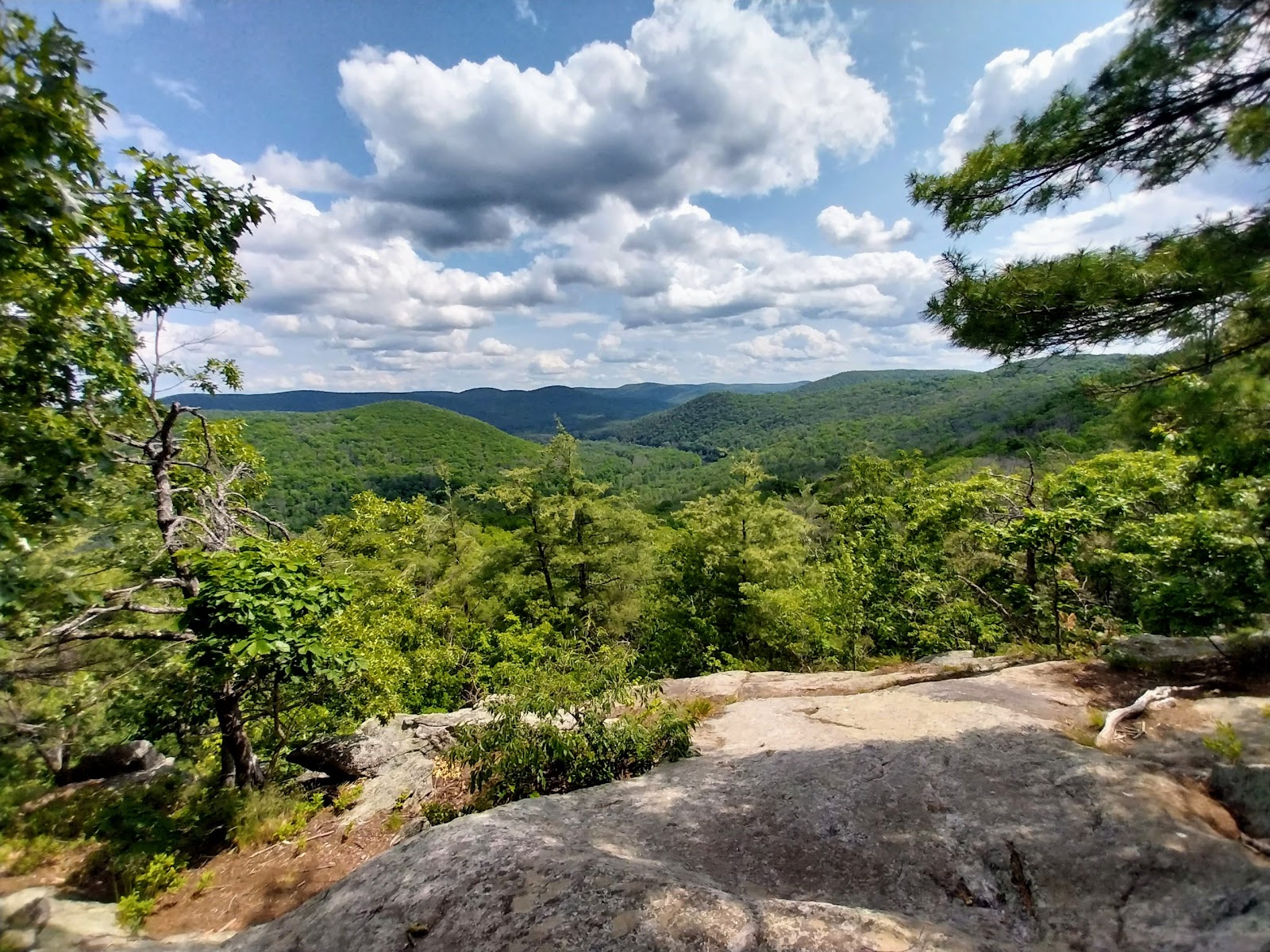 Housatonic Meadows State Park Campground