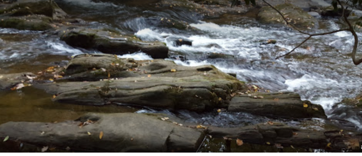 Albany County Fairgrounds Campground