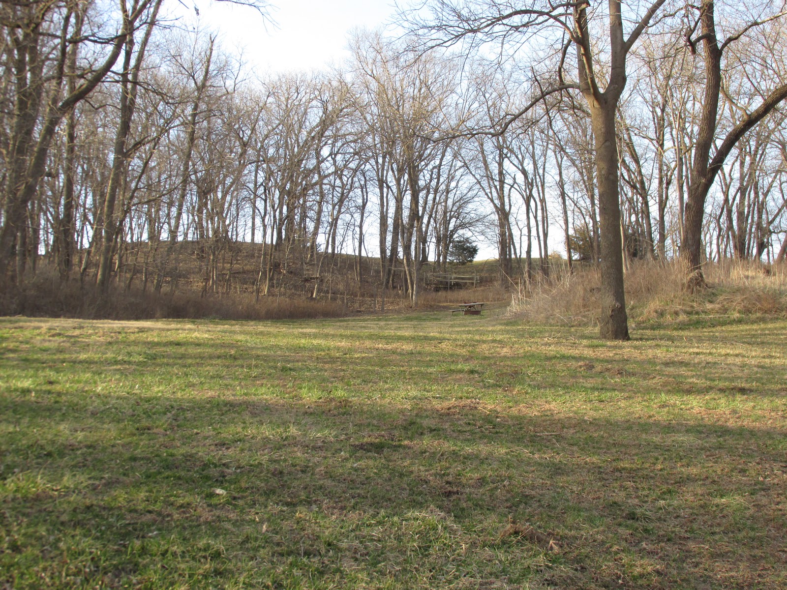 Pony Creek Conservation Park