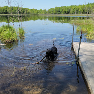 Cran-Hill Ranch Family Campground