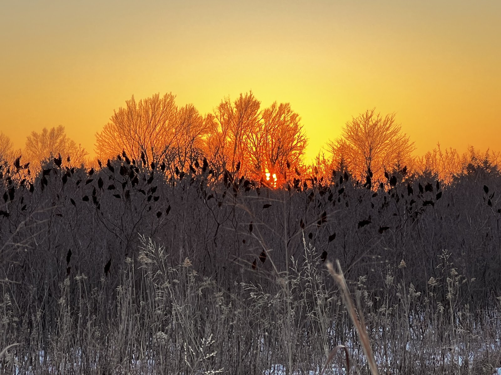 Sand Hills State Park Campground