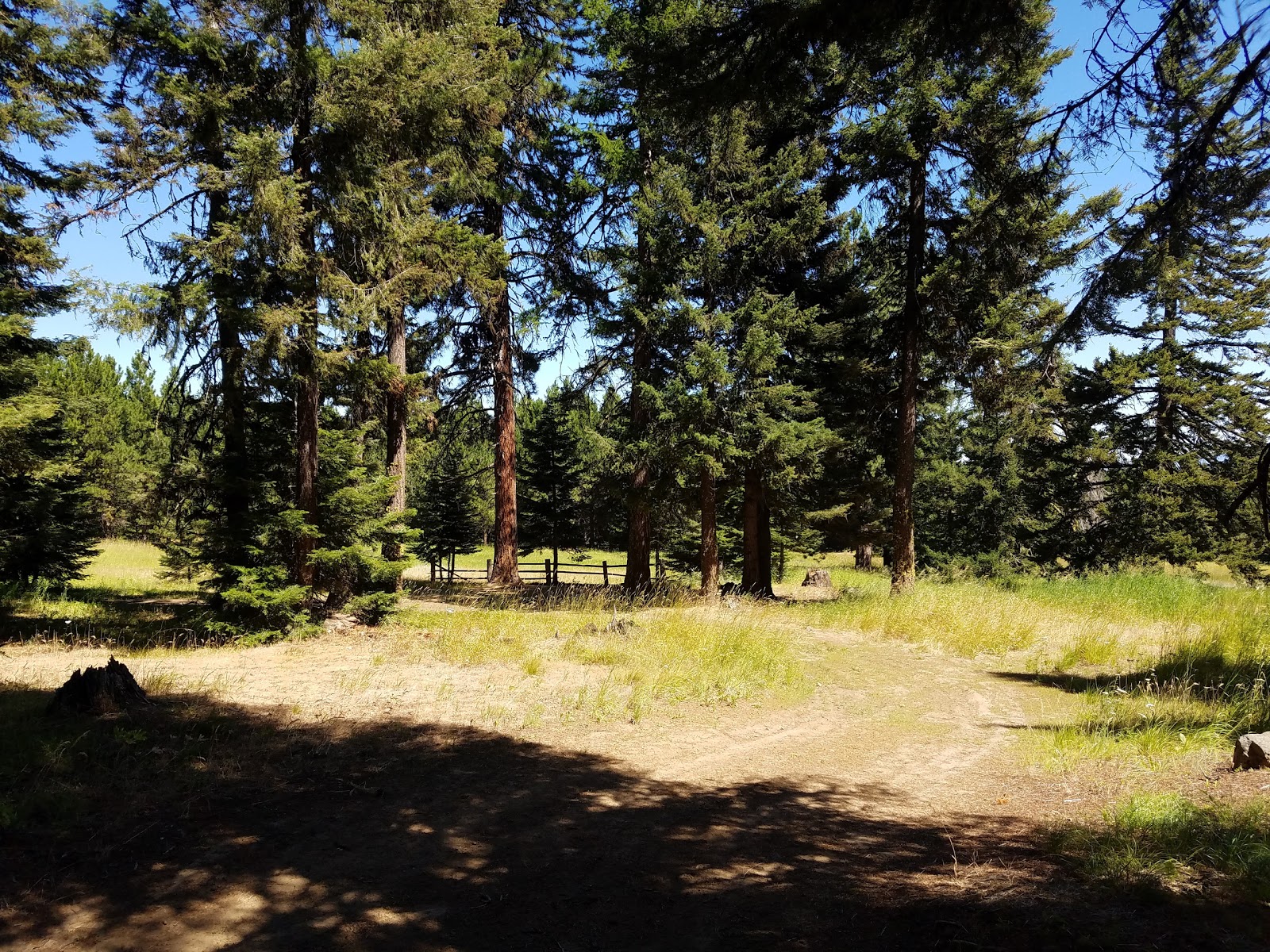 Tamarack Springs Campground