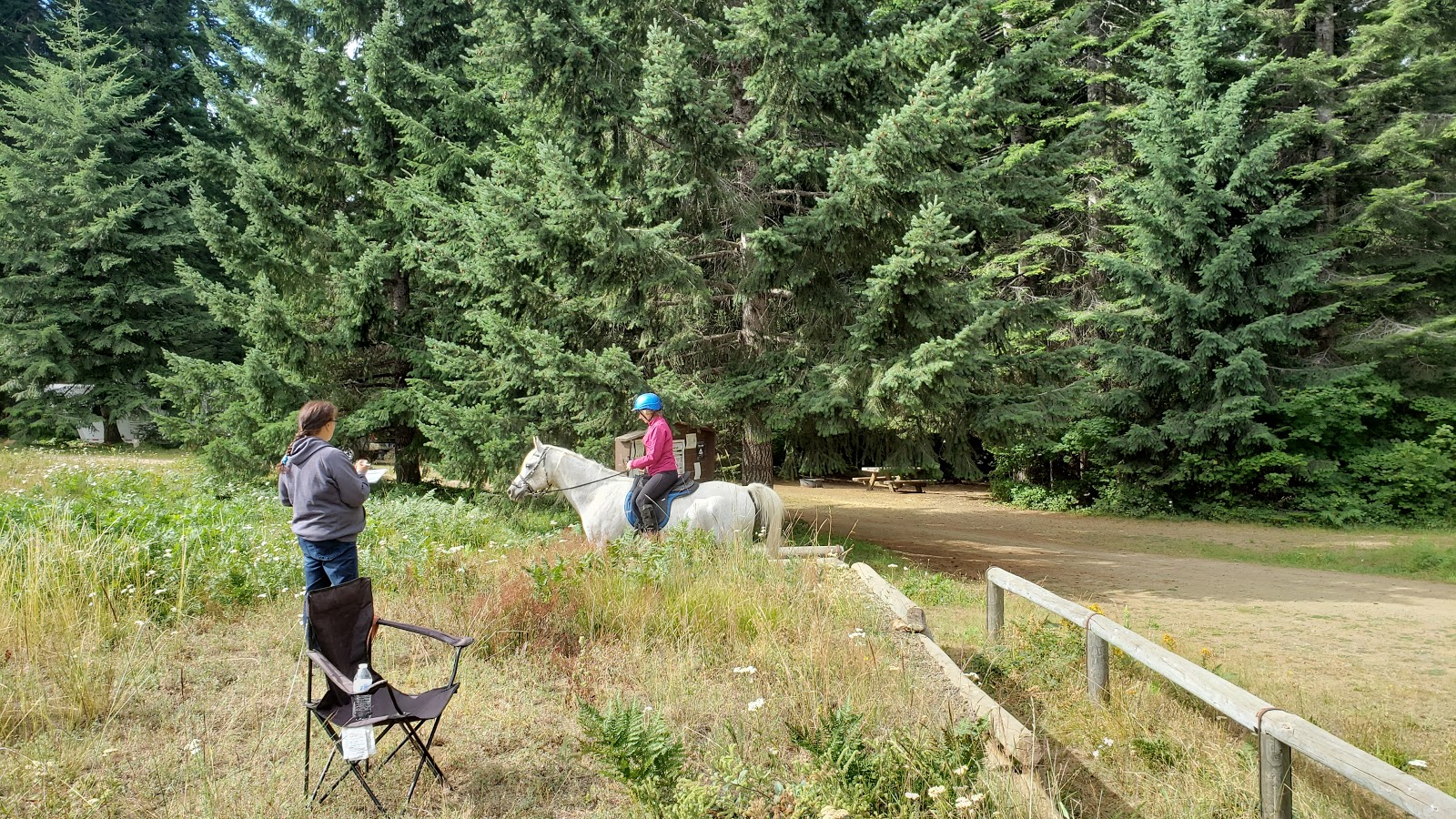 Mt Adams Horse Campground