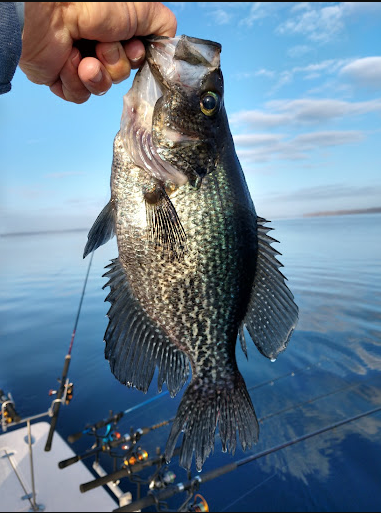 Whippoorwill Sportsman's Lodge