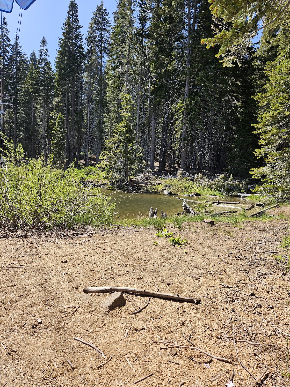 Lower Billy Creek Campground